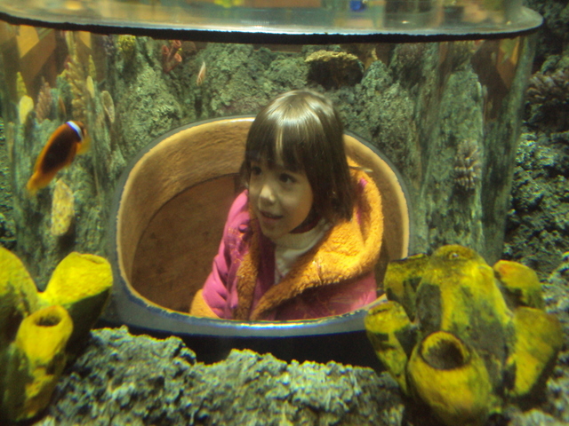 VISITAS DE CAMPO - Visita ao Sea Life