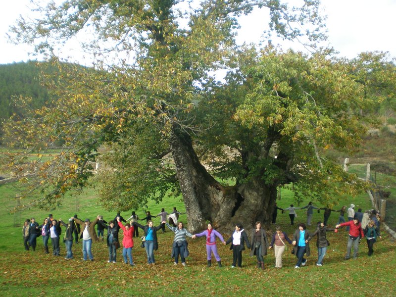 Passeio Aventura 2010 - Colaboradores da Mundos de Vida abraçam o maior castanheiro da Europa